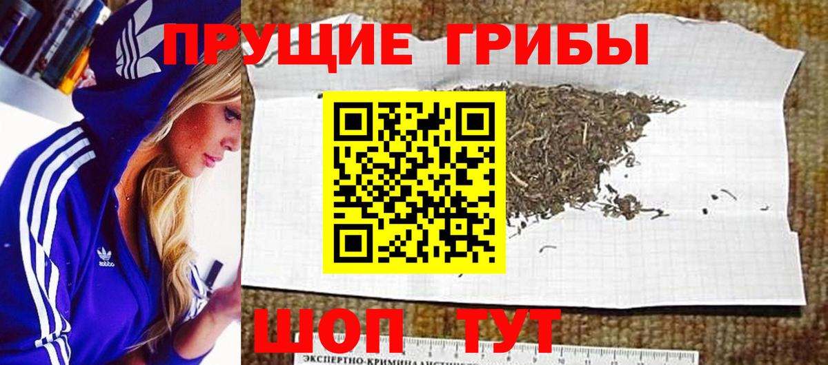 Галлюциногенные грибы прущие грибы Пугачёв